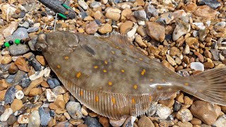 plaice fishing on the south coast sea fishing UK [upl. by Nahtal]