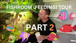 My Fishroom Feeding Tour PART TWO [upl. by Reifel]