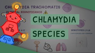 All You Need to Know About Chlamydia Species [upl. by Rehpotsrik69]