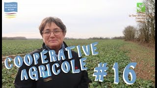 S1E16  Lagronomie dans une coopérative agricole Bourgogne Du Sud [upl. by Amory]