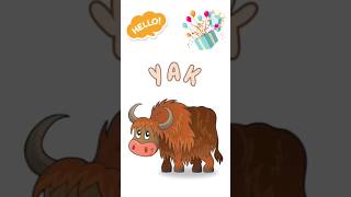 YAK Vocabulary SpellingYak Word Spelling for Kidsspellingwordsspellingwordyakfirstwordkids [upl. by Curcio]