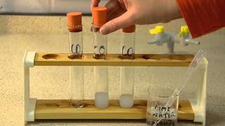 Gas Tests The Tests for Carbon Dioxide Oxygen and Hydrogen [upl. by Adest]