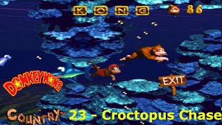 Donkey Kong Country Gorilla Glacier Croctopus Chase 44 MA RYU HACK KAIZO [upl. by Ateuqal]