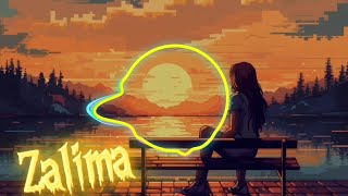 O Zalima slowedReverb Lofi Song Bollywood songs ज़ालिमा लोफी गाना music lofi [upl. by Ober]