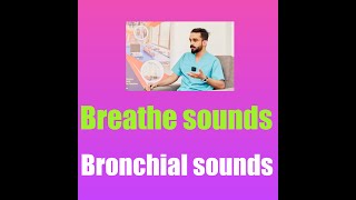 Breath sounds  Bronchial and vesicular sounds  Crepts  Wheeze  Respiratory System  MEDICINE [upl. by Zehe]