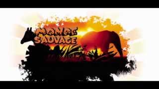 Monde sauvage dAywaille [upl. by Clarinda]