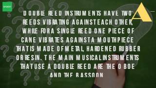 What Is A Double Reed Woodwind Instrument [upl. by Aiekram]