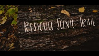 CINEMATIC BROLL Nature Exploration  Short Film [upl. by Buroker]