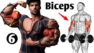 6 Effective Biceps Exercises for Wider Biceps [upl. by Vallie768]