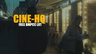 BMPCC ORIGINAL FREE CINEMATIC LUT [upl. by Kirbie503]