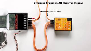 Microbeast V3 Standard Spektrum or JR Receiver Connection [upl. by Leak26]