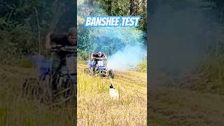 New Banshee test before last race this season wheelie backyardmafia trending sendit dirtdrags [upl. by Tailor]