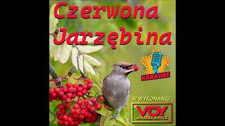 Czerwona jarzębina KARAOKE [upl. by Haym414]