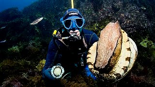 Biggest Abalones Ever Found [upl. by Yrallih]