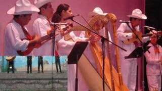 ensamble folklorico de veracruz  quotfolklore mexicanoquot [upl. by Demah]