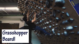 Introducing Grasshopper Climbing  Vlog 83 [upl. by Sucitivel]