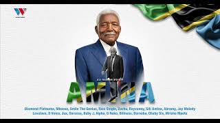 Tanzania All Stars  Amina Ali Hassan Mwinyi  Official Audio [upl. by Suzy]