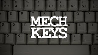 Mechanical Keyboards A Brief Introduction [upl. by Garlen160]