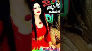 Dj Remix 2024  Nonstop Mappila Mashup  Evergreen Hits Selected Songs  Bassboosted [upl. by Modie123]