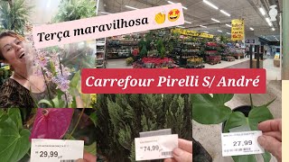 ACHADINHOS INCRÍVEIS CARREFOUR PIRELLI S ANDRÉ VÉSPERA DE FERIADO PLANTAS SUPER PROMOÇÃO 👏🤩 [upl. by Anitram]