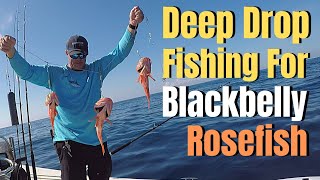 Deep Drop Fishing for Blackbelly Rosefish  Deep Dropping Basics amp Tactics [upl. by Ater163]