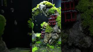 Chilling Terrarium Part 22 aquarium decor terrarium trending viral aquascape fishtank [upl. by Lah]