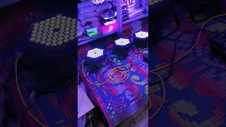 Par Light Programming With DMX 512 [upl. by Meijer509]