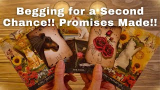 LOVE TAROT TODAY BEGGING FOR A SECOND CHANCE PROMISES MADE 💗 💫 [upl. by Hamid]