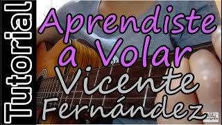 Como tocar Aprendiste a Volar  Vicente Fernández en Guitarra [upl. by Atikehs]