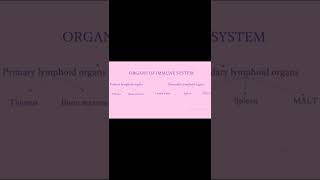 ORGANS OF IMMUNE SYSTEM  PRIMARY AND SECONDARY LYMPHOID ORGANS shorts Malayalam lmmunology [upl. by Innes]