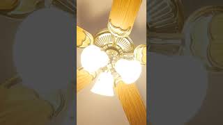 Ceiling Fan Light Kit [upl. by Montanez21]