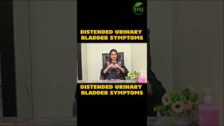 Distended Urinary Bladder Symptoms distendedurinarybladder bladderproblems urinaryretention [upl. by Tankoos]