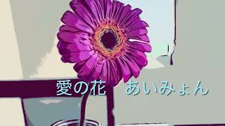 あいみょん 愛の花 カバー ショート [upl. by Ttayh]