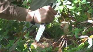 Test du couteau WX en bushcraft [upl. by Richardo]