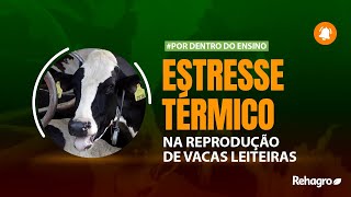 Efeitos do ESTRESSE TÉRMICO na reprodução de VACAS LEITEIRAS [upl. by Calvina553]