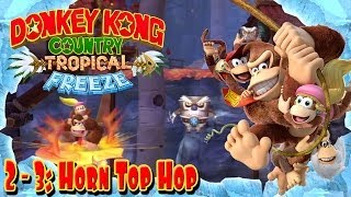 Donkey Kong Country Tropical Freeze  Part 11  quotHorn Top Hopquot 23 100 Walkthrough [upl. by Sonni]