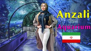 IRAN Anzali aquarium  2022  Aaquarium walking tour  the Biggest aqua in Iran  very Fantastic [upl. by Jacques]