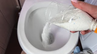 Pour washing powder down your toilet and see what HAPPENS 💥 [upl. by Alvera]