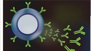 Monoclonal antibodies explanation in tamil [upl. by Aihseuqal]