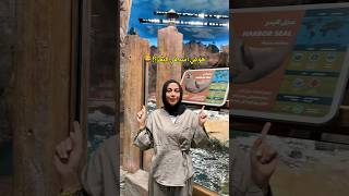 شوفتوا أسد وعجل البحر قبل كدا🙈 اكسبلور سفر ترند رحلات travel travelfood dubai [upl. by Zul]