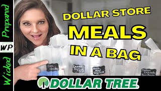 Add THESE to your Prepper Pantry  all from Dollar Tree  Survive SHTF  Budget Prepping 2023 [upl. by Barri288]