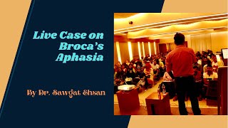 Broca’s Aphasia [upl. by Arah500]