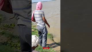 Tilapia 🐠🐋🐟 fishing tilapia fishingvideo [upl. by Novyat]