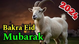 Bakrid mubarak  Bakra eid mubarak  Bakra eid mubarak status  Bakrid status  Bakra eid status [upl. by Atterol]