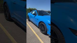 2024 Grabber Blue Mustang GT Performance Package with midnight pony package looks so beautiful [upl. by Dorehs]