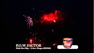 POW Factor  Shogun [upl. by Dacy]