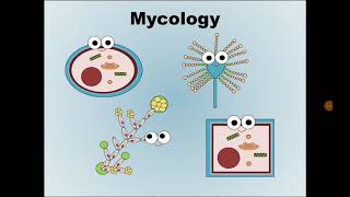 1 Mycology علم الفطريات [upl. by Doll]