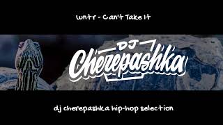 wntr  Cant Take It dj cherepashka training version [upl. by Ennaylime985]