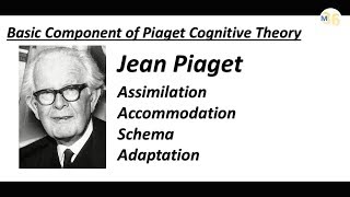 Basic Component of Piaget Theory  Schema  Assimilation  Adaptation  Accommodation  CTET [upl. by Aimerej]