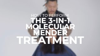 3in1 Molecular Mender Treatment With Philip Wolff [upl. by Kcira]